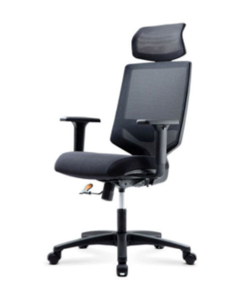TN30 Hi.Bk. Chair w/Headrest & Adj. Arms - Black
