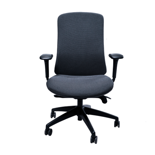 Anji (Fedo) High Back Multi-Functional Chair - CH