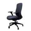 Anji (Fedo) High Back Multi-Functional Chair - CH
