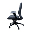 Anji (Fedo) High Back Multi-Functional Chair - CH