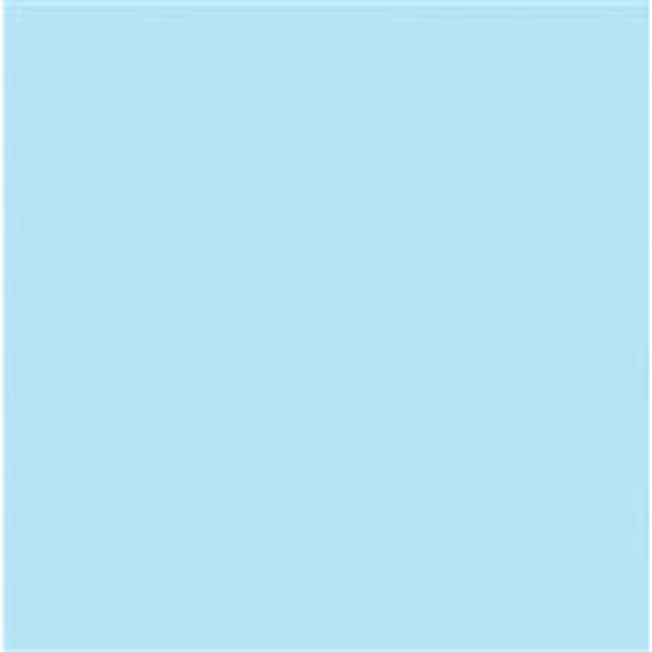 Picture of 57-008 Bristol Paper 22-1/2 x 28-1/2 Blue