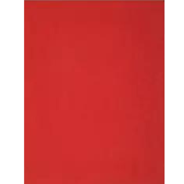 Picture of 57-013 Bristol Paper 22-1/4 x 28-1/4 Red