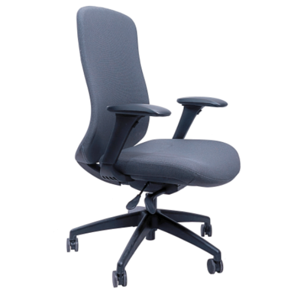 Picture of AA-5316CH Anji (Fedo) High Back  Multi-Functional Chair - CH