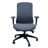 Picture of AA-5316CH Anji (Fedo) High Back  Multi-Functional Chair - CH