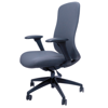 Picture of AA-5316CH Anji (Fedo) High Back  Multi-Functional Chair - CH