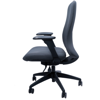 Picture of AA-5316CH Anji (Fedo) High Back  Multi-Functional Chair - CH